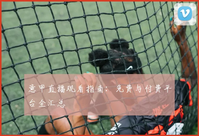 意甲直播观看指南:免费与付费平台全汇总