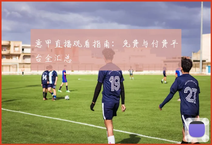 意甲直播观看指南：免费与付费平台全汇总